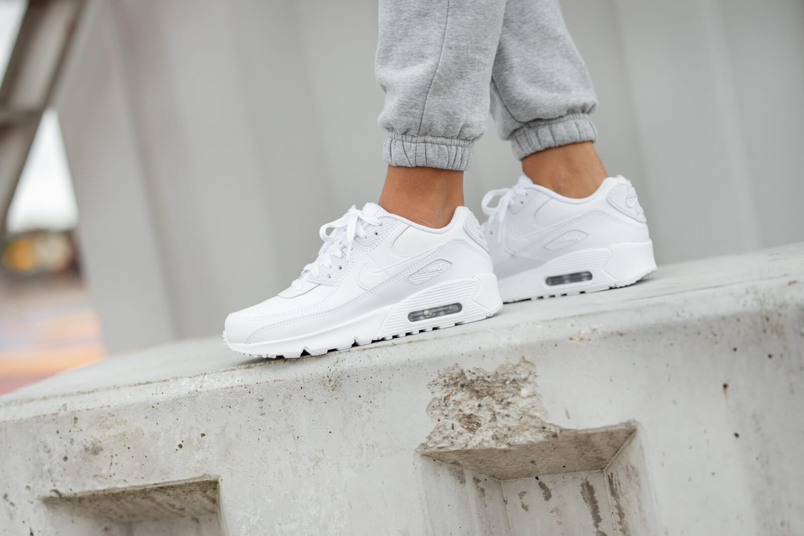 Nike air max 2025 90 ltr gs white